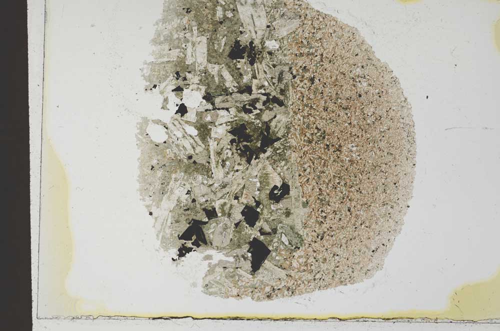 Plane Polarized, S31981