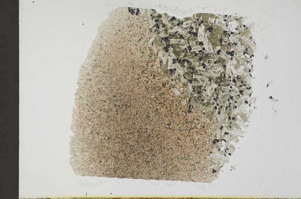 Plane Polarized, S31982