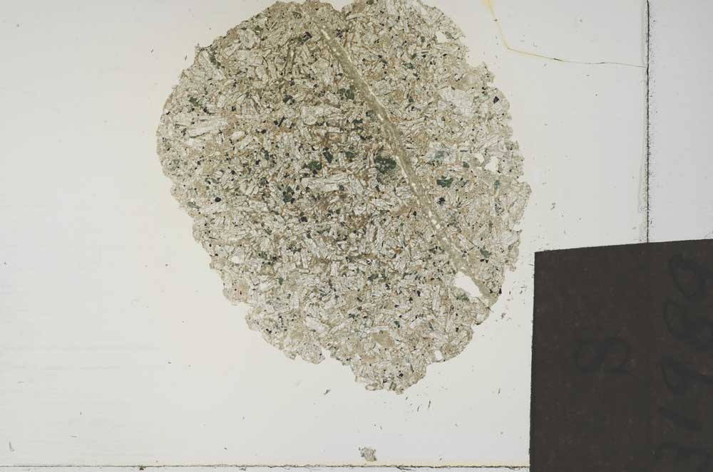 Plane Polarized, S31989