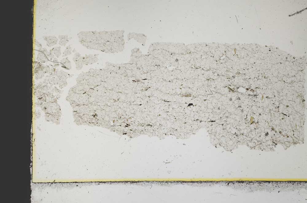 Plane Polarized, S31992