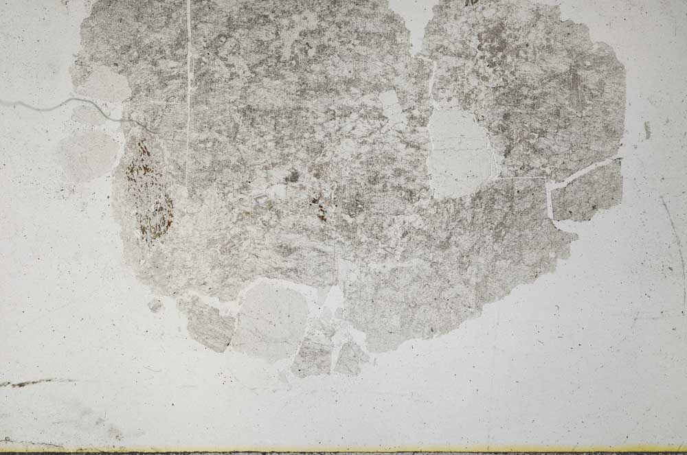 Plane Polarized, S32021