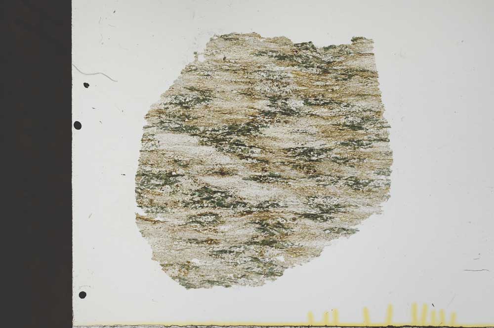 Plane Polarized, S32025