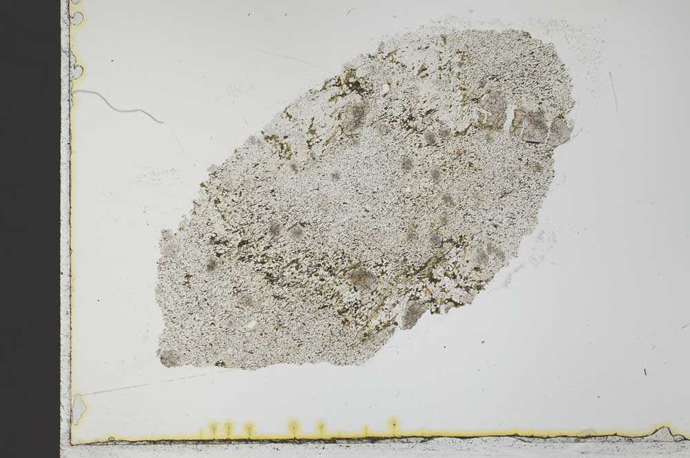 Plane Polarized, S32034