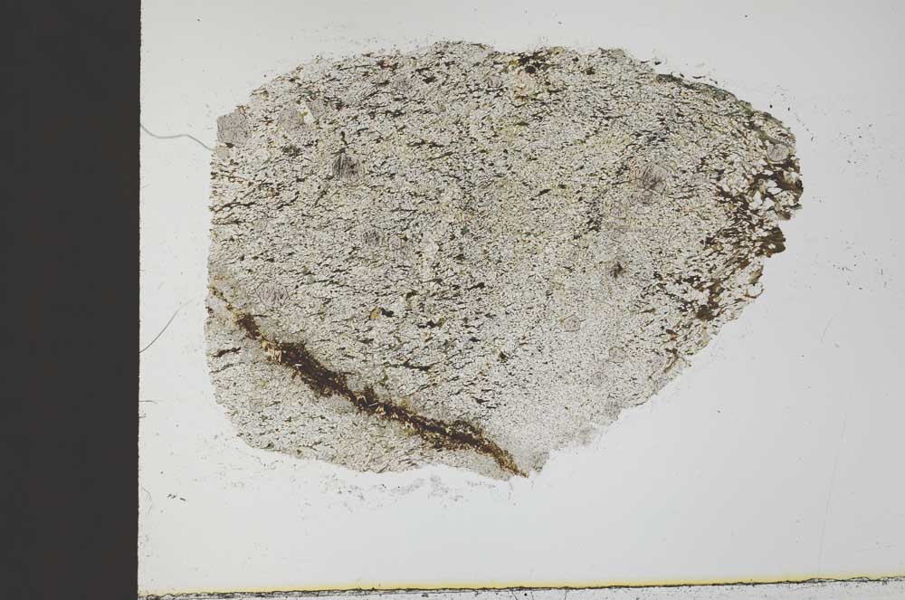 Plane Polarized, S32035