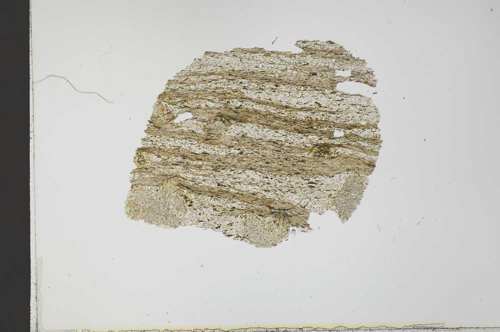 Plane Polarized, S32036