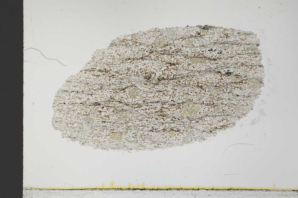 Plane Polarized, S32037