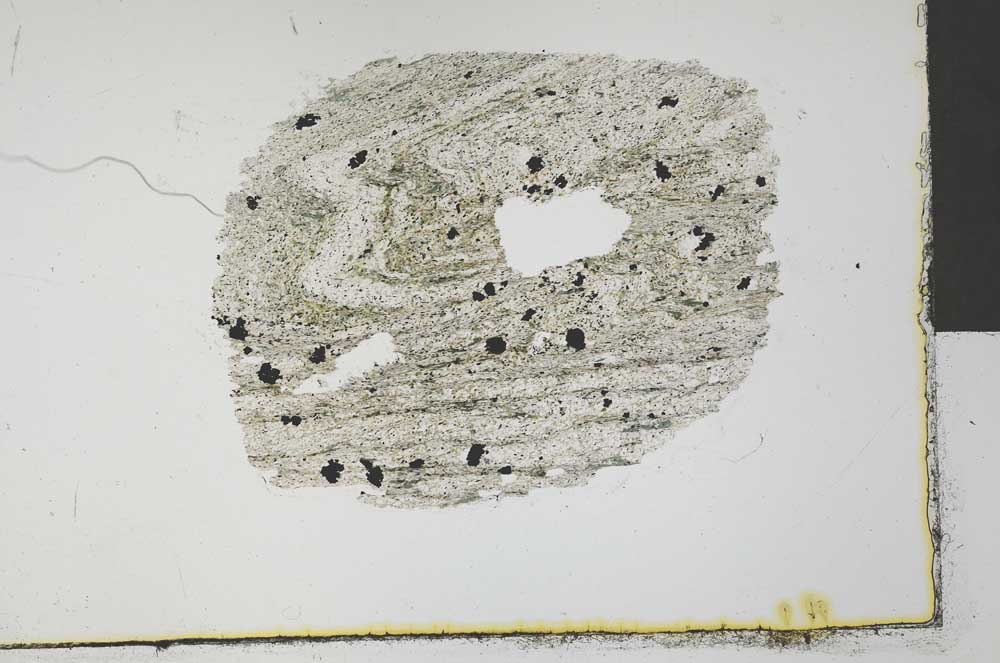 Plane Polarized, S32039