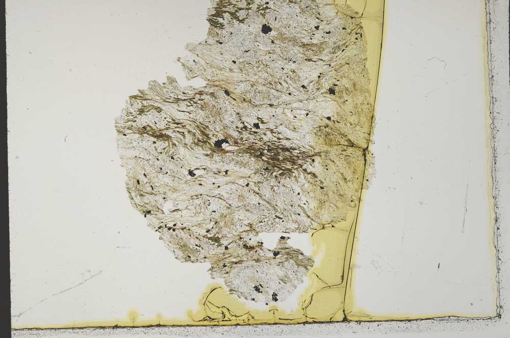 Plane Polarized, S32044