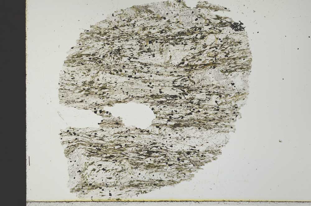 Plane Polarized, S32045