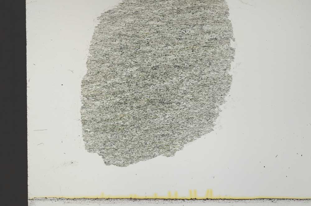 Plane Polarized, S32050