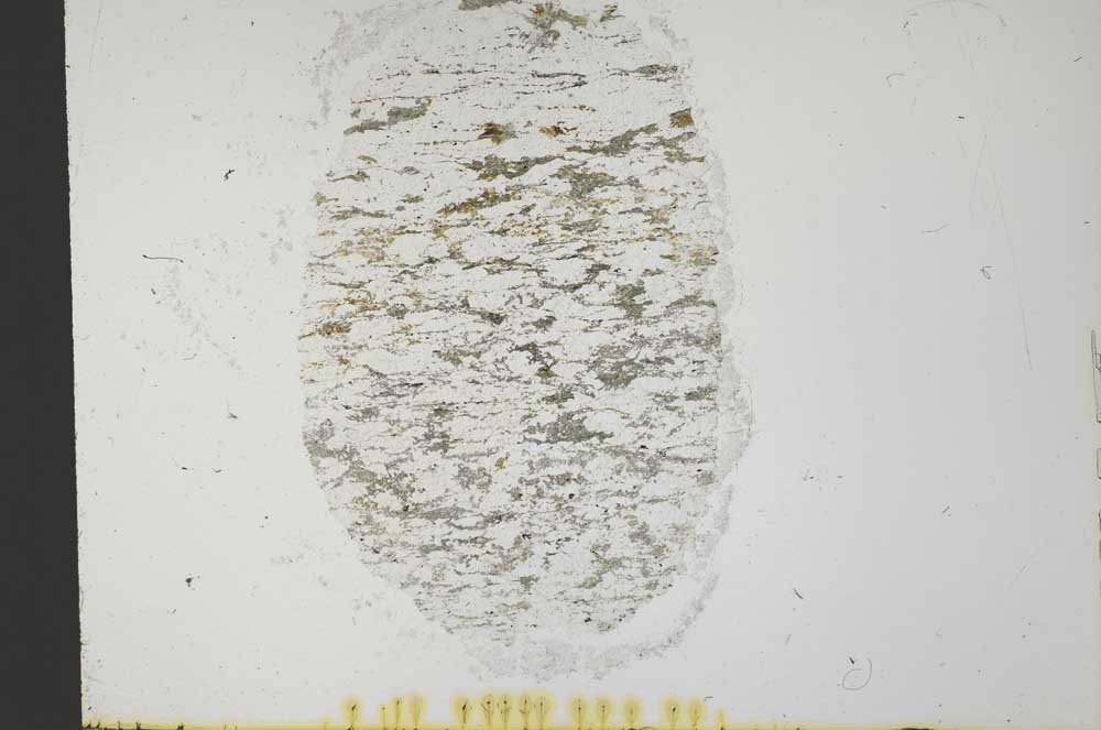 Plane Polarized, S32055