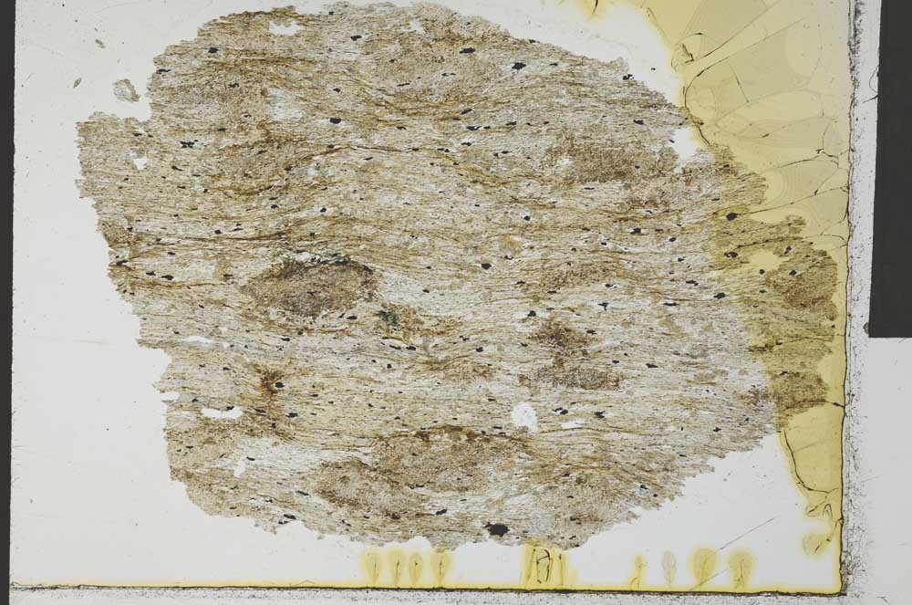 Plane Polarized, S32056