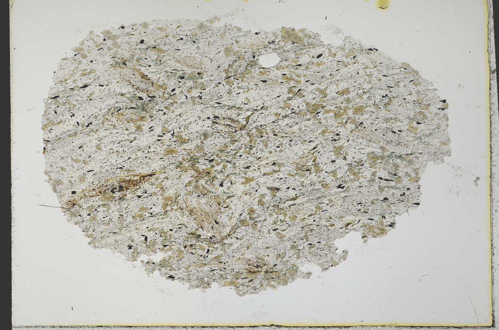 Plane Polarized, S32057