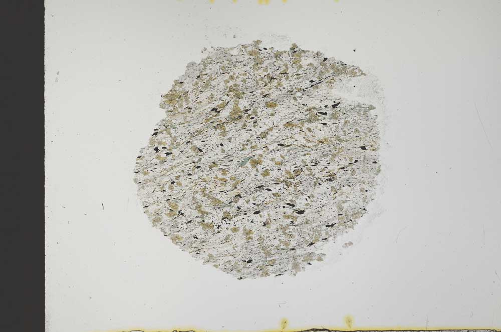 Plane Polarized, S32057/A