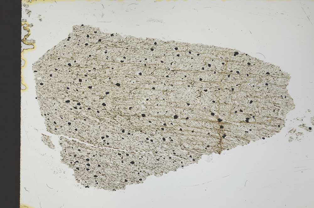 Plane Polarized, S32059