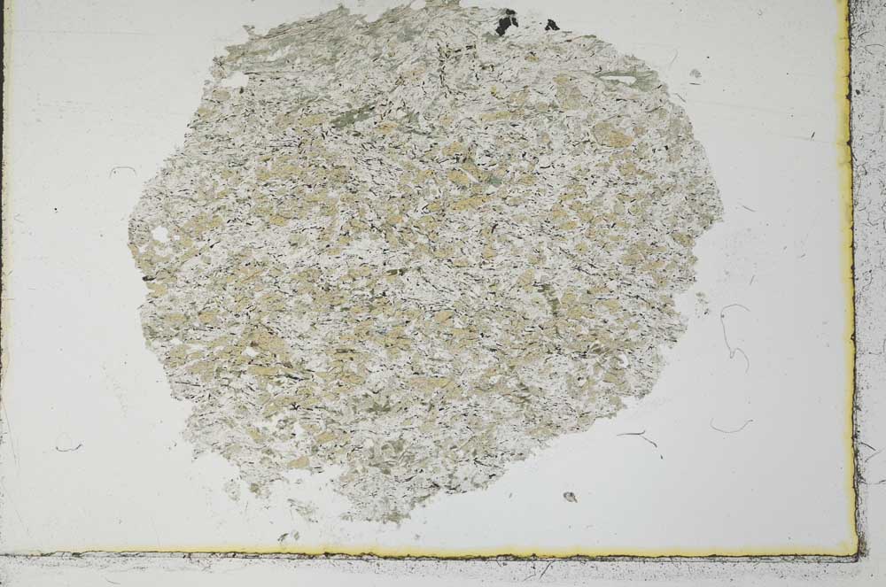 Plane Polarized, S32062