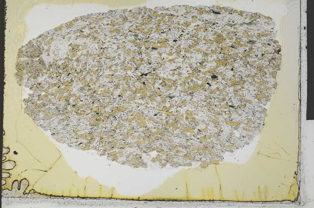 Plane Polarized, S32063