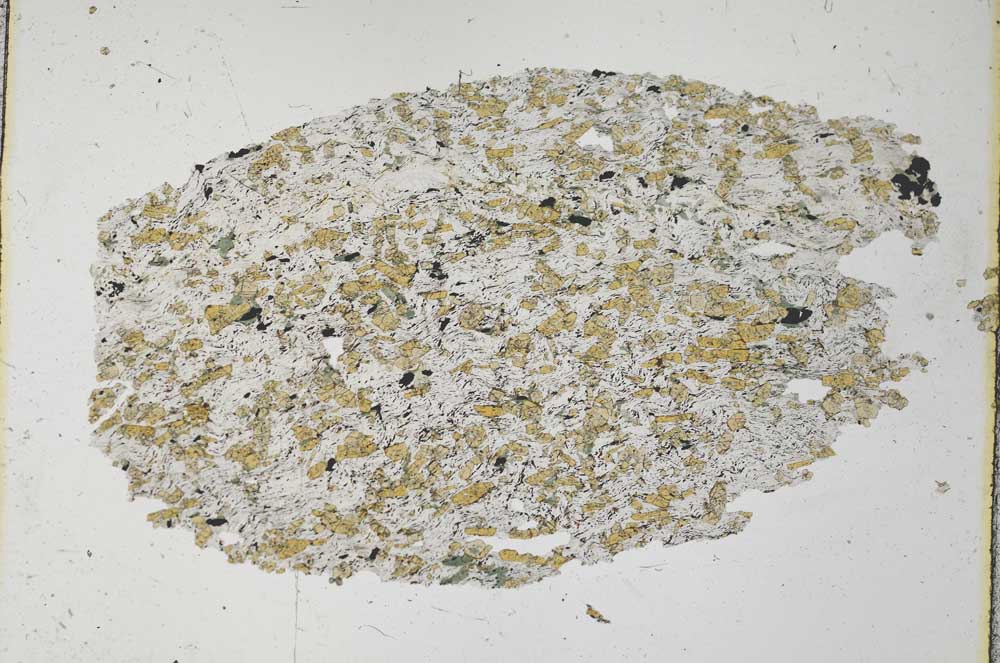 Plane Polarized, S32063/A