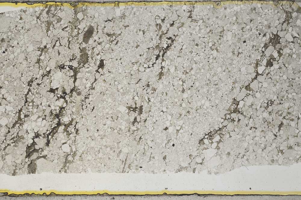 Plane Polarized, S32081