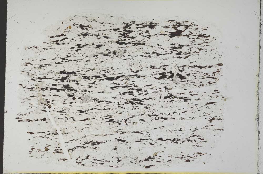 Plane Polarized, S32115