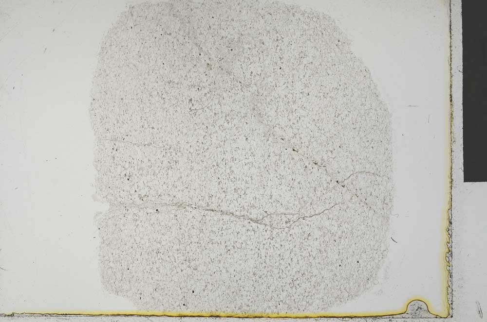 Plane Polarized, S32124