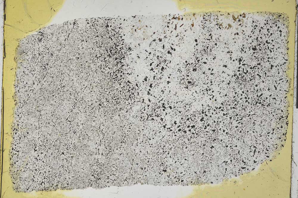 Plane Polarized, S32160