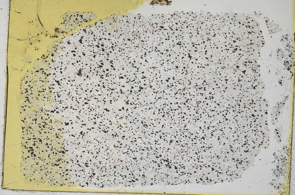 Plane Polarized, S32161