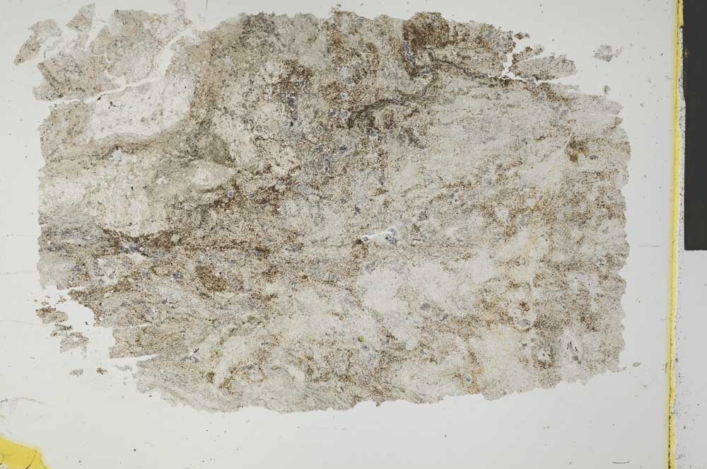 Plane Polarized, S32167