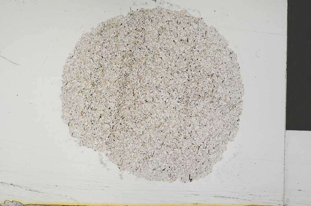 Plane Polarized, S32194