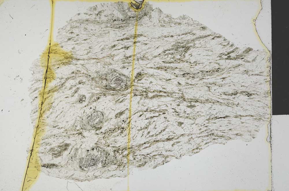 Plane Polarized, S32216