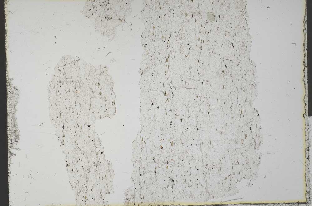 Plane Polarized, S32220