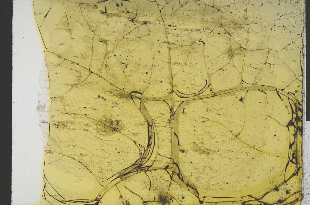 Plane Polarized, S32222