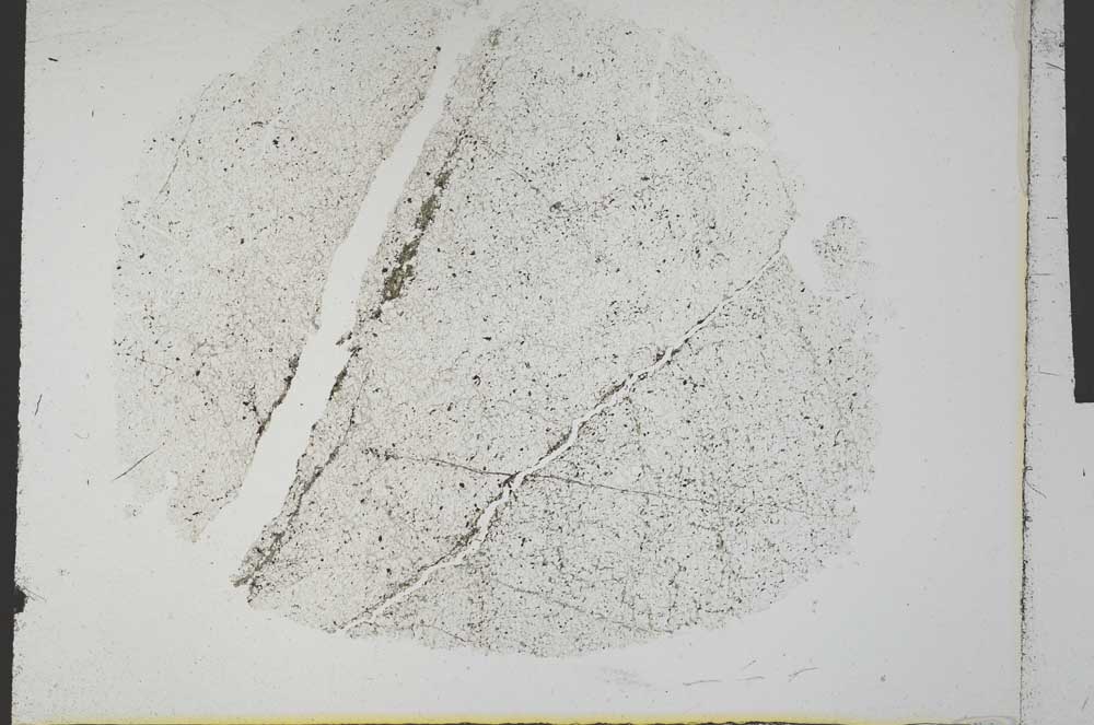Plane Polarized, S32232