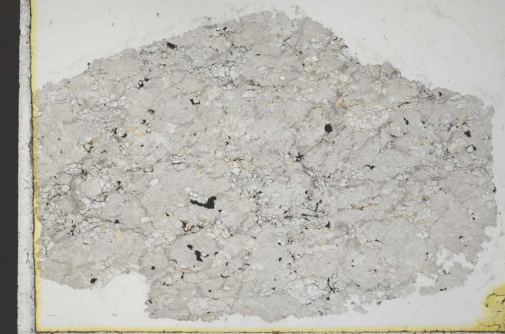 Plane Polarized, S32266