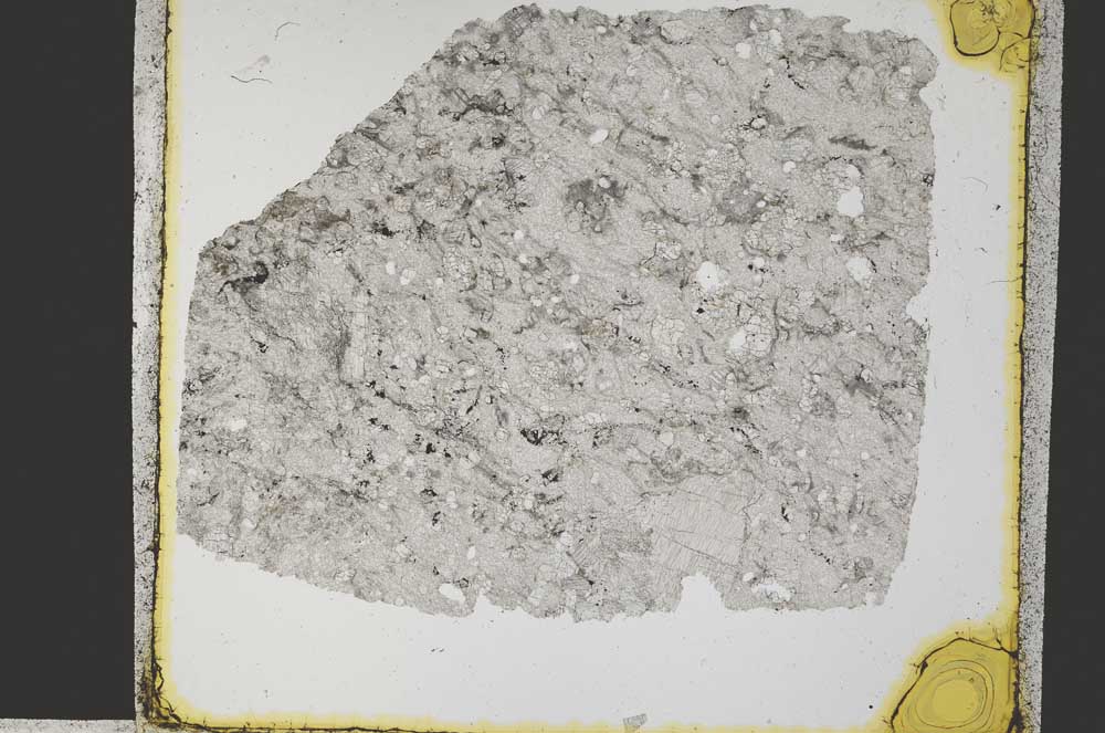 Plane Polarized, S32266/A