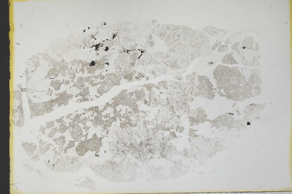 Plane Polarized, S32275