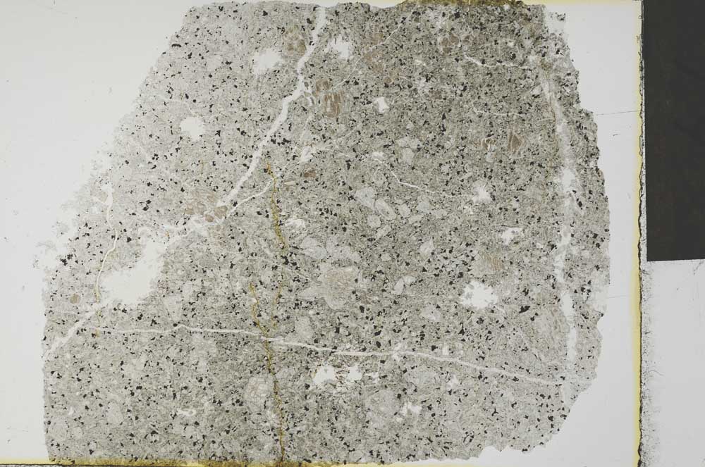 Plane Polarized, S32325