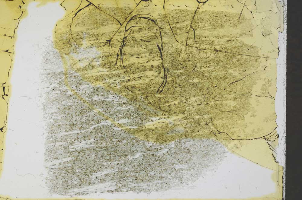Plane Polarized, S32351