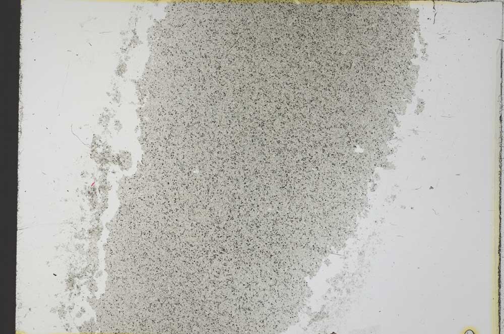 Plane Polarized, S32377