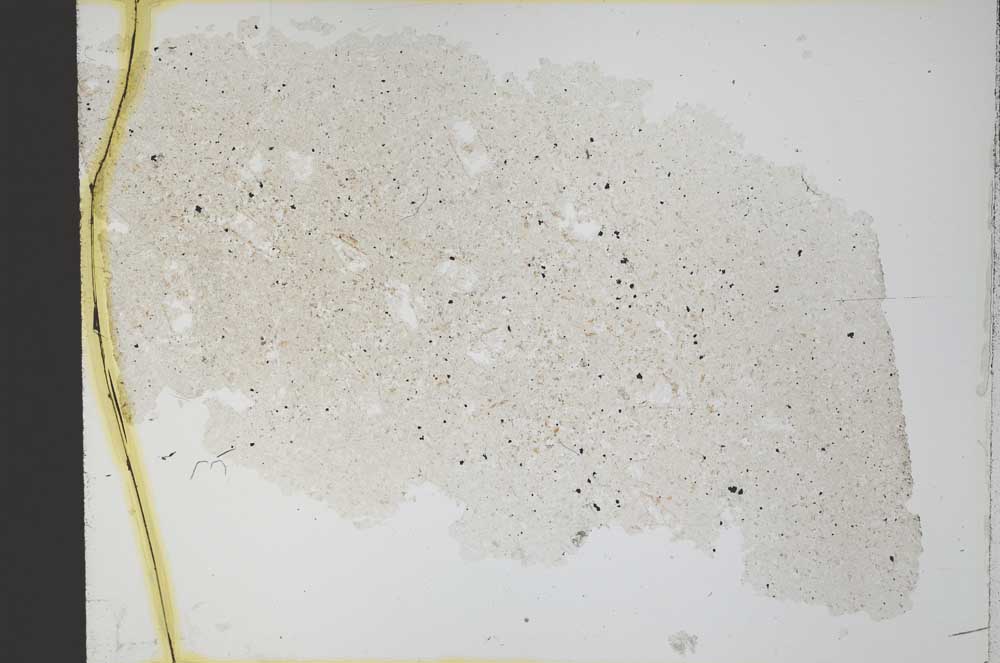 Plane Polarized, S32379