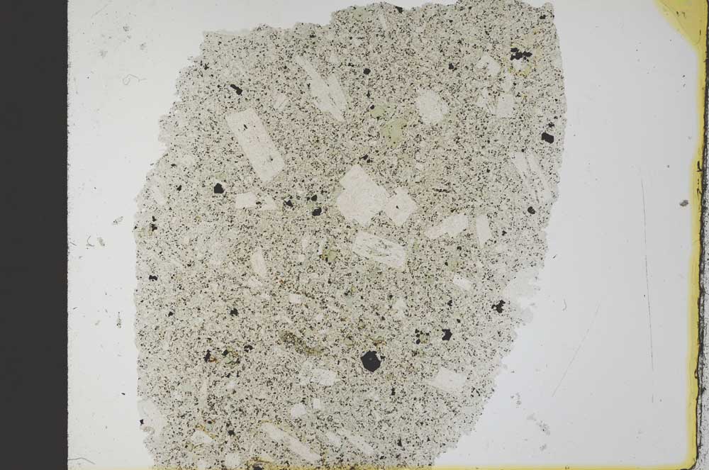 Plane Polarized, S32381