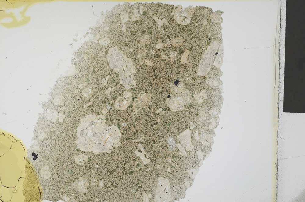 Plane Polarized, S32383