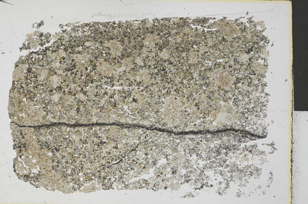 Plane Polarized, S32395
