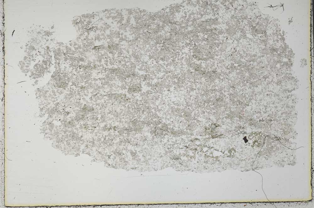 Plane Polarized, S32412