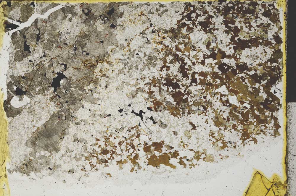 Plane Polarized, S32429