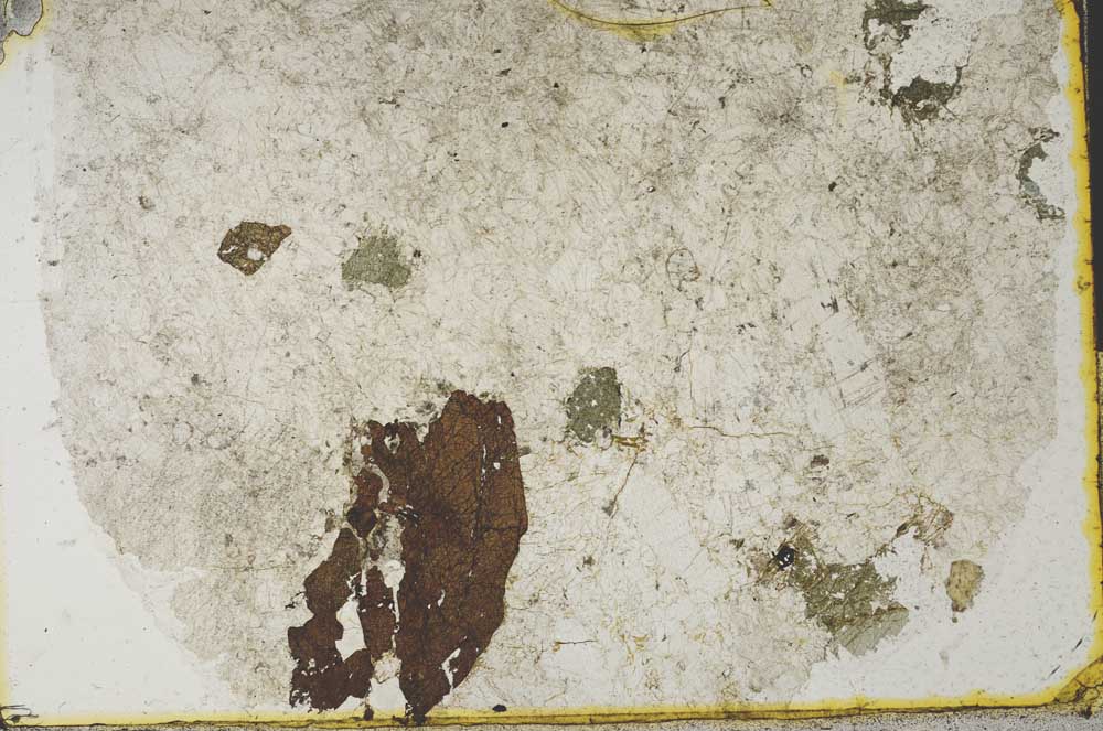 Plane Polarized, S32431