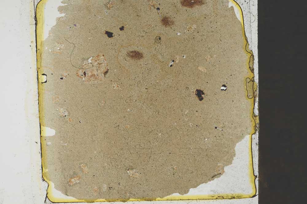 Plane Polarized, S32433