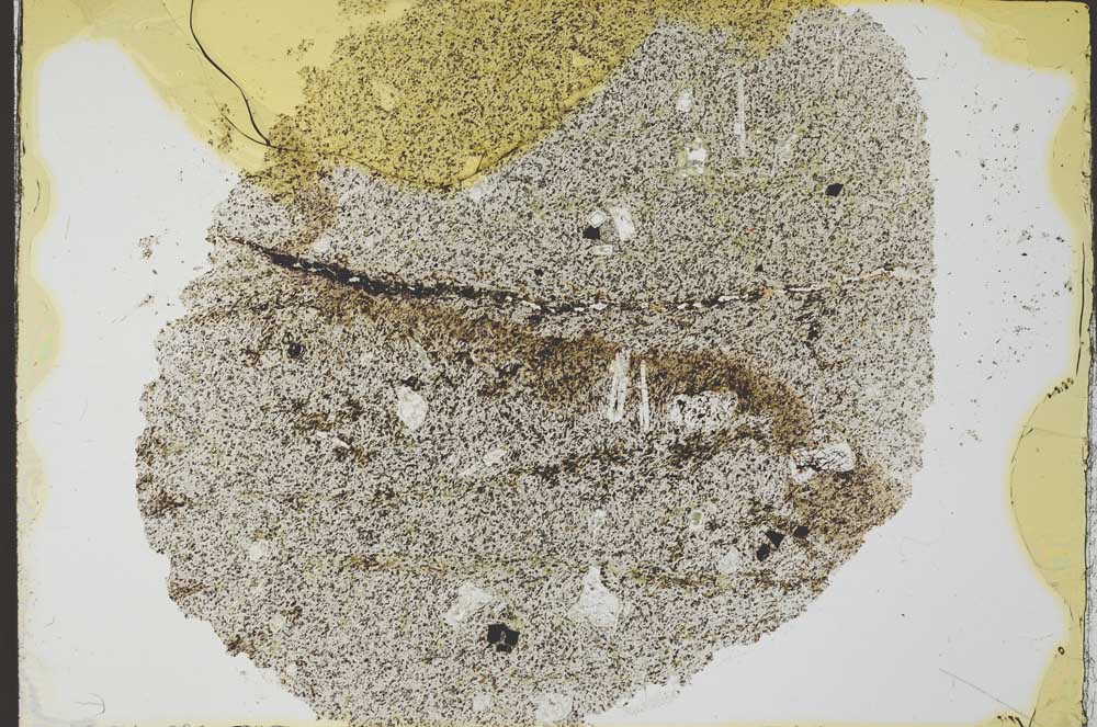 Plane Polarized, S32434