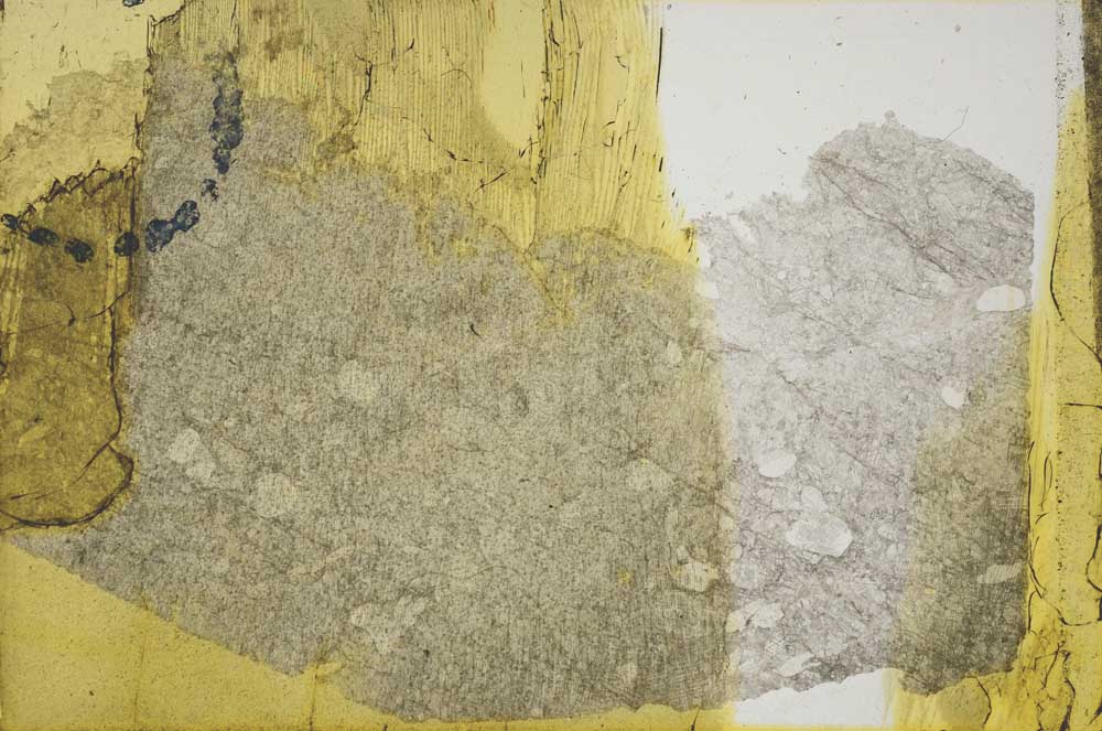 Plane Polarized, S32445