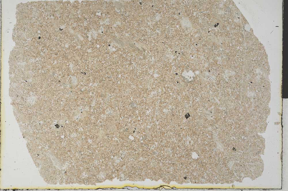 Plane Polarized, S32456